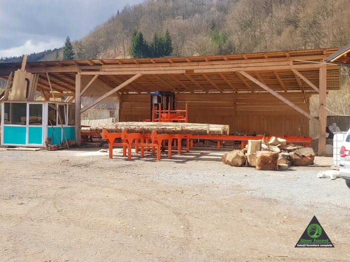 banzic wirex la lucru in romania